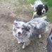 Gary Lore - Facebook