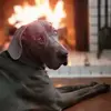 Gary Lorenz - @gary.lorenz7 - TikTok