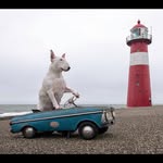 Gary Loveday - @loveday_gary - Instagram