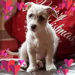 Gary Lowe - @gary.lowe.gaz1767 - Instagram