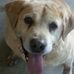 Gary Lucier - Facebook