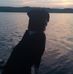 Gary Lucier - Facebook