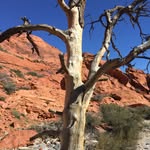 GRL46 - @gary.r.lucier - Instagram