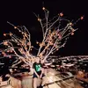 JiaQuan - @garyluu638 - TikTok