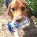 Gary Lyman - Facebook