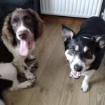 Gary Lynch - @garylynch55 - Instagram