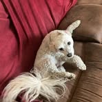 Gary Lyons - Facebook