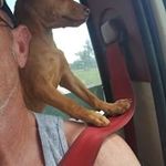 Gary Mabe - @gary.mabe.7334 - Instagram
