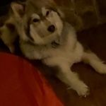 Gary MacMillan - @gary.macmillan.12 - Instagram