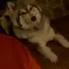 garymacmillan328 - @garymacmillan328 - TikTok