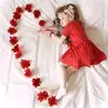 Emy Abd ELhamed - @malakelgogary8 - TikTok