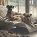 Gary Malak - Facebook
