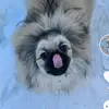 Gary man - @garymanukraina - TikTok