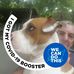 Gary Manchester - Facebook