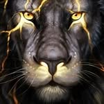 Gary Maple - @gary.maple.14 - Instagram