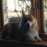 Gary Marek - @gary.marek1 - Instagram