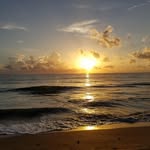 Gary Margolis - @garymargolis215 - Instagram