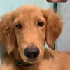 Gary Mars - @garymars3 - TikTok