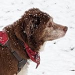 Gary Marsden - @gary.marsden.104 - Instagram