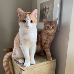 Gary Martino - @gardenboy15015 - Instagram