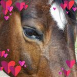 Gary Maupin Goodale - @camlachfarm - Instagram