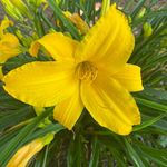Carol Maxwell - @gary.mawell - Instagram