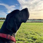 Gary Mawer - @gary_mawer - Instagram
