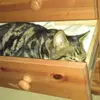 garymazur593 - @garymazur593 - TikTok