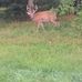 Gary Mcbee - Facebook