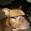 tanya - @garymcbee1 - TikTok