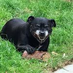 Gary McCord - @v1p3r73 - Instagram
