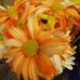 Gary McEntee - Facebook