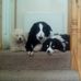 Gary McEntee - Facebook