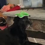 Gary_Mcgee - @garymcgeee - Instagram