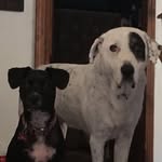 Gary McGee - @garymcgee63 - Instagram