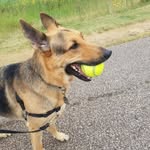 Gary McGee - @gary.mcgee.5667 - Instagram