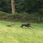 Gary Mckenna - @gmckenna3 - Instagram