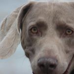 Gary Mckeon - @gary.mckeon.96 - Instagram
