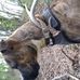 Gary McKeown - Facebook
