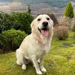 Gary McKeown - @garymckeown35 - Instagram