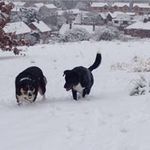 Gary Mckeown - @mckeown4168 - Instagram
