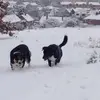 Gary Mckeown - @gary.mckeown3 - TikTok