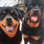 Gary eric Mcminn - @garyericmcminn - Instagram
