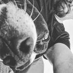 Gary McVay - @gary.mcvay.397 - Instagram