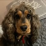 Gary Mellor - @gm1969 - Instagram