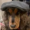 garymellor889 - @garymellor889 - TikTok