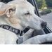 Gary Mertz - Facebook