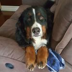 gary meyer - @garymeyer8658 - Instagram