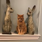 Gary Mink - @gam080601 - Instagram