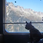 @garyminky - Instagram